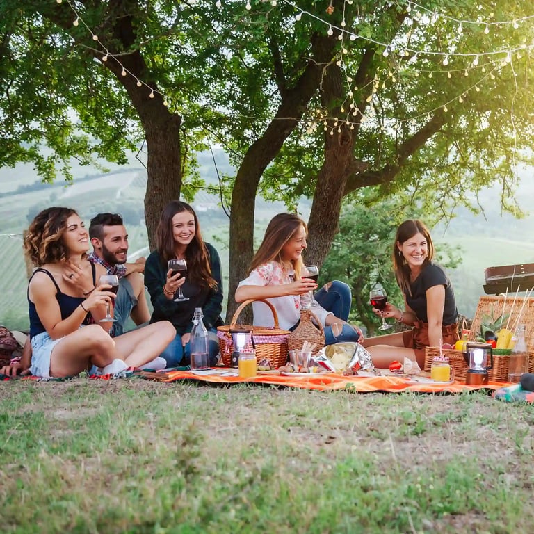 Freundesgruppe beim Picknicken